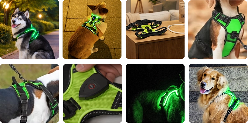 Radpaws
