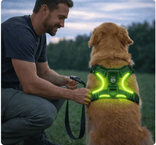 Radpaws